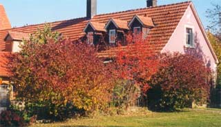 Das Storchenh�usle